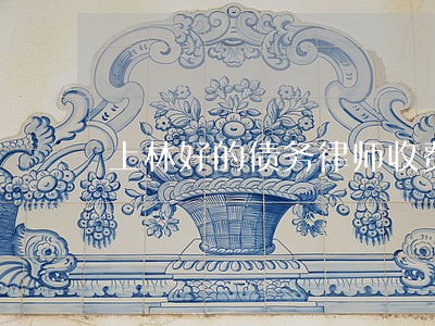 上林好的债务律师收费标准