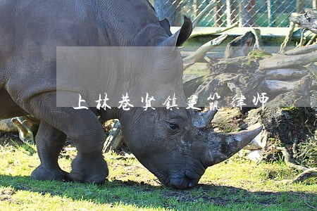 上林巷贤镇建筑律师