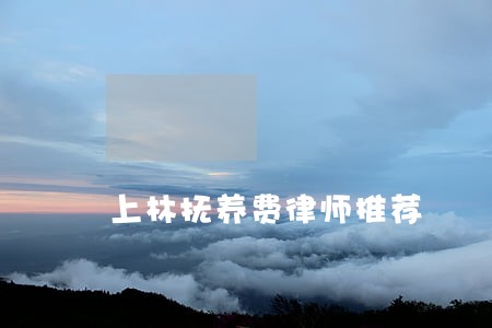上林抚养费律师推荐 上林抚养费律师推荐