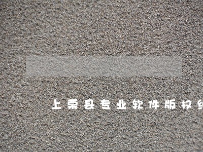 上栗县专业软件版权纠纷律师 上栗县专业软件版权纠纷律师
