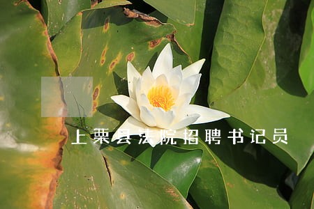 上栗县法院招聘书记员 上栗县法院招聘书记员