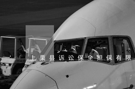 上栗县诉讼保全担保有限公司 上栗县诉讼保全担保有限公司