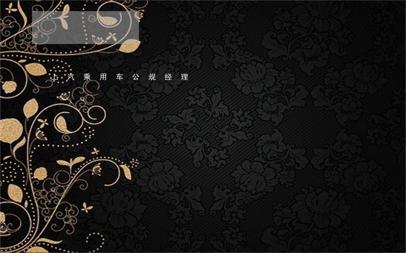 上汽乘用车公规经理