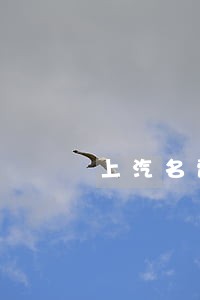 上汽名爵贷款逾期 上汽名爵贷款逾期