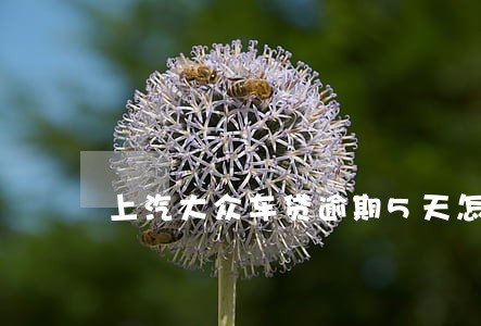 上汽大众车贷逾期5天怎么办 上汽大众车贷逾期5天怎么办