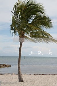 上汽大众逾期1-2天会怎么样 上汽大众逾期1-2天会怎么样