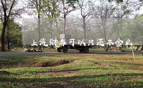 上汽财务可以只还本金么 上汽财务可以只还本金么