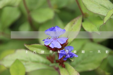 上汽财务车贷逾期一天影响信用吗 上汽财务车贷逾期一天影响信用吗