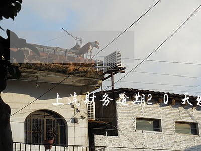 上汽财务逾期20天发信息 上汽财务逾期20天发信息