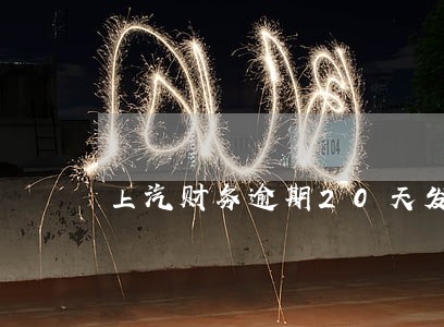 上汽财务逾期20天发信息被保全 上汽财务逾期20天发信息被保全