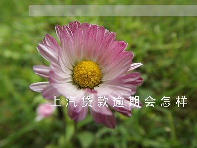 上汽贷款逾期会怎样 上汽贷款逾期会怎样