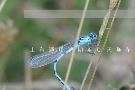 上汽通用逾期40天拖车 上汽通用逾期40天拖车