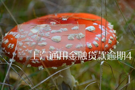 上汽通用金融贷款逾期4个月 上汽通用金融贷款逾期4个月