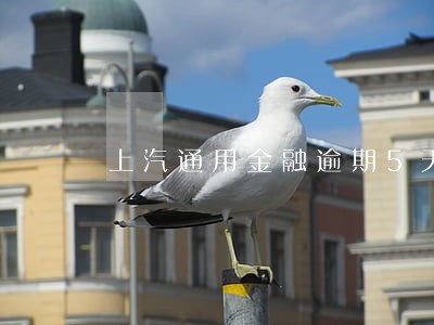 上汽通用金融逾期5天 上汽通用金融逾期5天