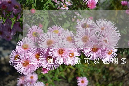 上汽通融贷款可以逾期多少天 上汽通融贷款可以逾期多少天