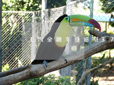 上汽金融车贷逾期3万 上汽金融车贷逾期3万