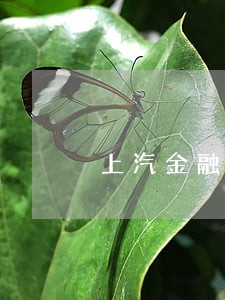 上汽金融逾期3天没事吧 上汽金融逾期3天没事吧