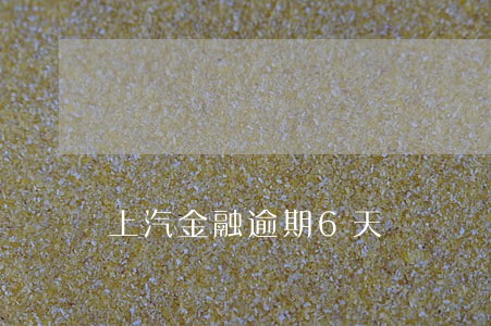 上汽金融逾期6天 上汽金融逾期6天