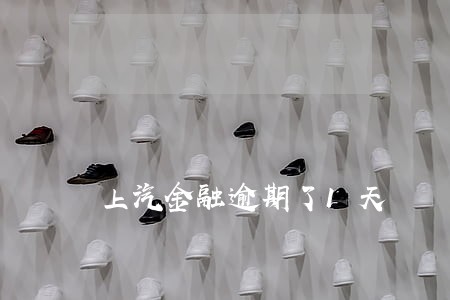 上汽金融逾期了1天 上汽金融逾期了1天