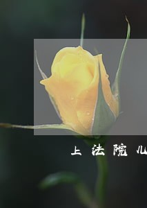 上法院儿子可以分到父亲的遗产吗 上法院儿子可以分到父亲的遗产吗