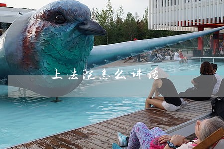 上法院怎么讲话 上法院怎么讲话