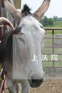 上法院打官司用律师吗 上法院打官司用律师吗