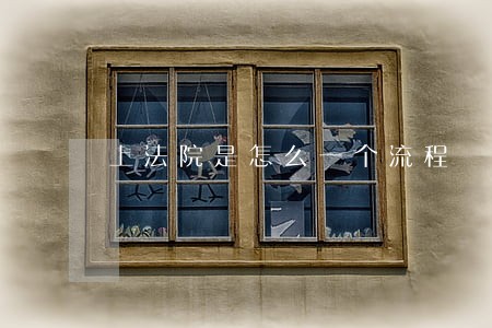 上法院是怎么一个流程 上法院是怎么一个流程