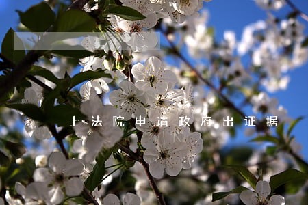 上法院申请政府出证据 上法院申请政府出证据