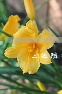 上法院起一定要请律师吗