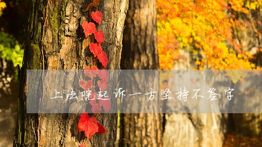 上法院起诉一方坚持不签字
