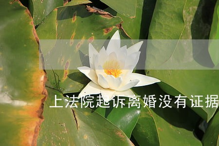 上法院起诉离婚没有证据 上法院起诉离婚没有证据