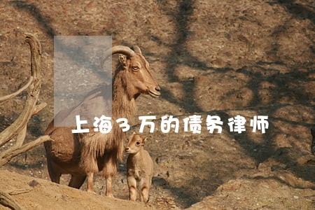 上海3万的债务律师 上海3万的债务律师