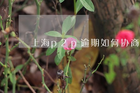 上海p2p逾期如何协商 上海p2p逾期如何协商