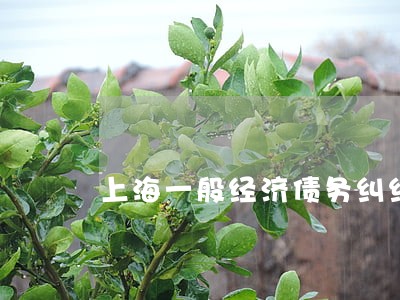 上海一般经济债务纠纷律师