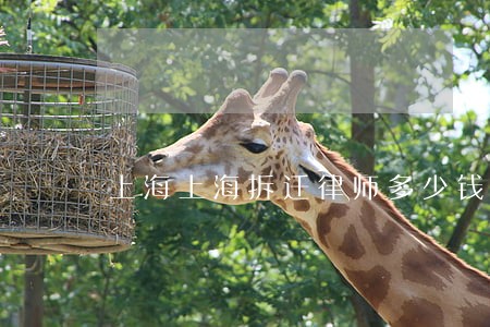 上海上海拆迁律师多少钱怎么收费 上海上海拆迁律师多少钱怎么收费