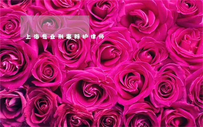 上海专业刑事辩护律师 上海专业刑事辩护律师