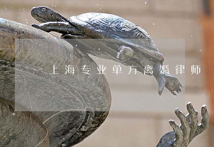 上海专业单方离婚律师 上海专业单方离婚律师