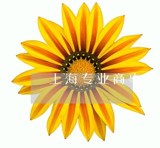 上海专业商事合同律师法律服务 上海专业商事合同律师法律服务