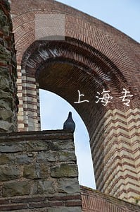 上海专业法律顾问团队 上海专业法律顾问团队