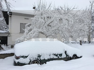 上海专业的公司合同律师品质卓越 上海专业的公司合同律师品质卓越