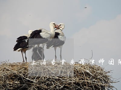 上海专业离婚律师团队 上海专业离婚律师团队