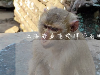 上海专业离婚律师有哪些 上海专业离婚律师有哪些