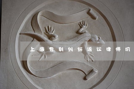 上海专利纠纷诉讼律师价格 上海专利纠纷诉讼律师价格