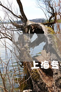 上海专注欠款合同纠纷律师 上海专注欠款合同纠纷律师