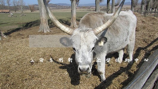 上海东明街道有法律援助中心 上海东明街道有法律援助中心