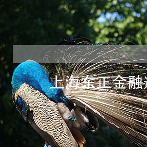 上海东正金融逾期3天上征信吗 上海东正金融逾期3天上征信吗