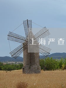 上海严查网络市场违法经营行为 上海严查网络市场违法经营行为