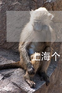 上海个人债务追讨律师 上海个人债务追讨律师