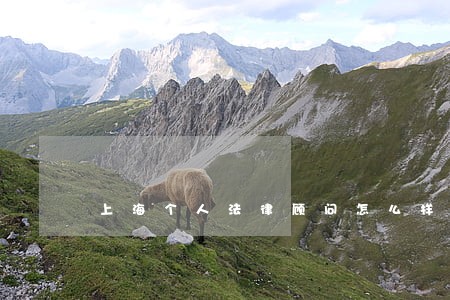 上海个人法律顾问怎么样