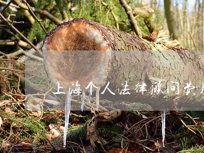 上海个人法律顾问费用 上海个人法律顾问费用